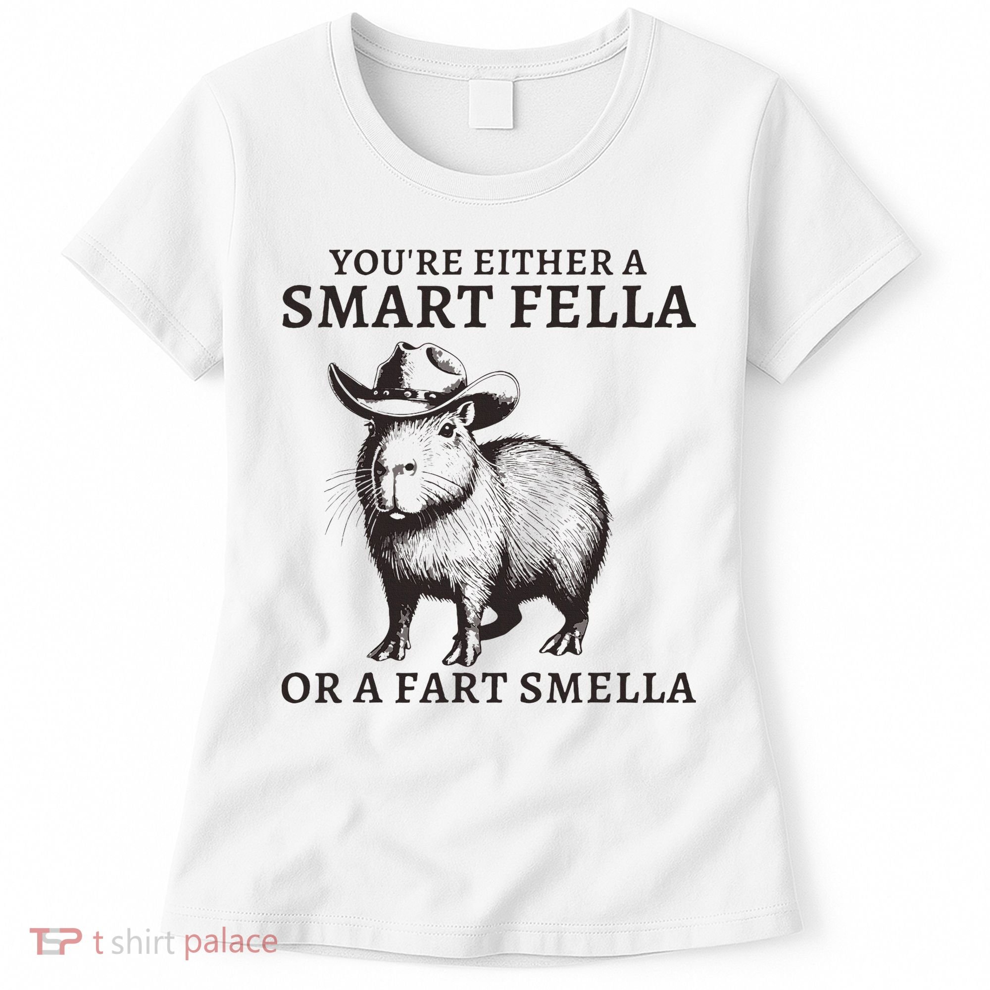 Funny Capybara YouRe Either A Smart Fella Or A Fart Smella Women's T-Shirt