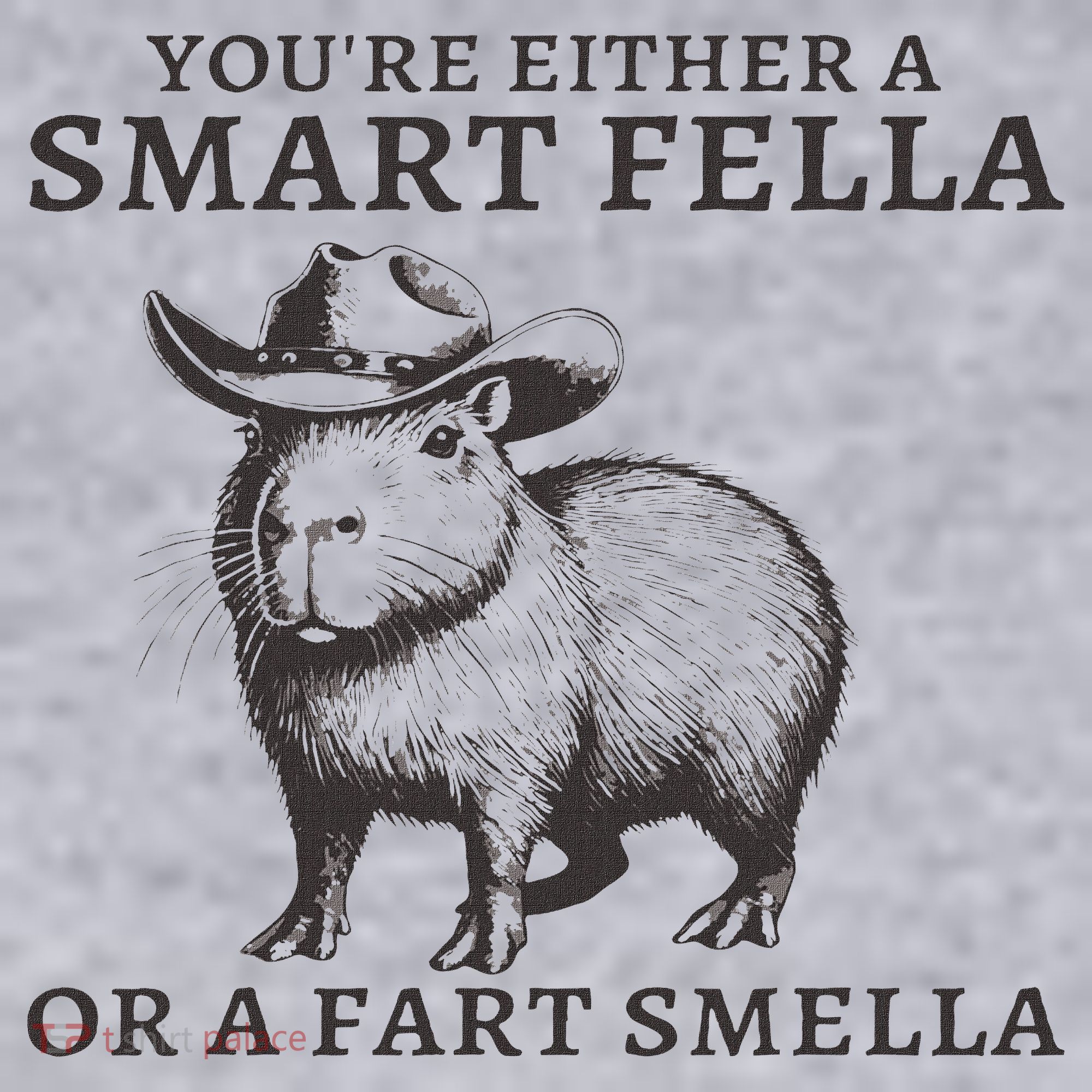 Funny Capybara You're Either A Smart Fella Or A Fart  Women's Sweatshirt