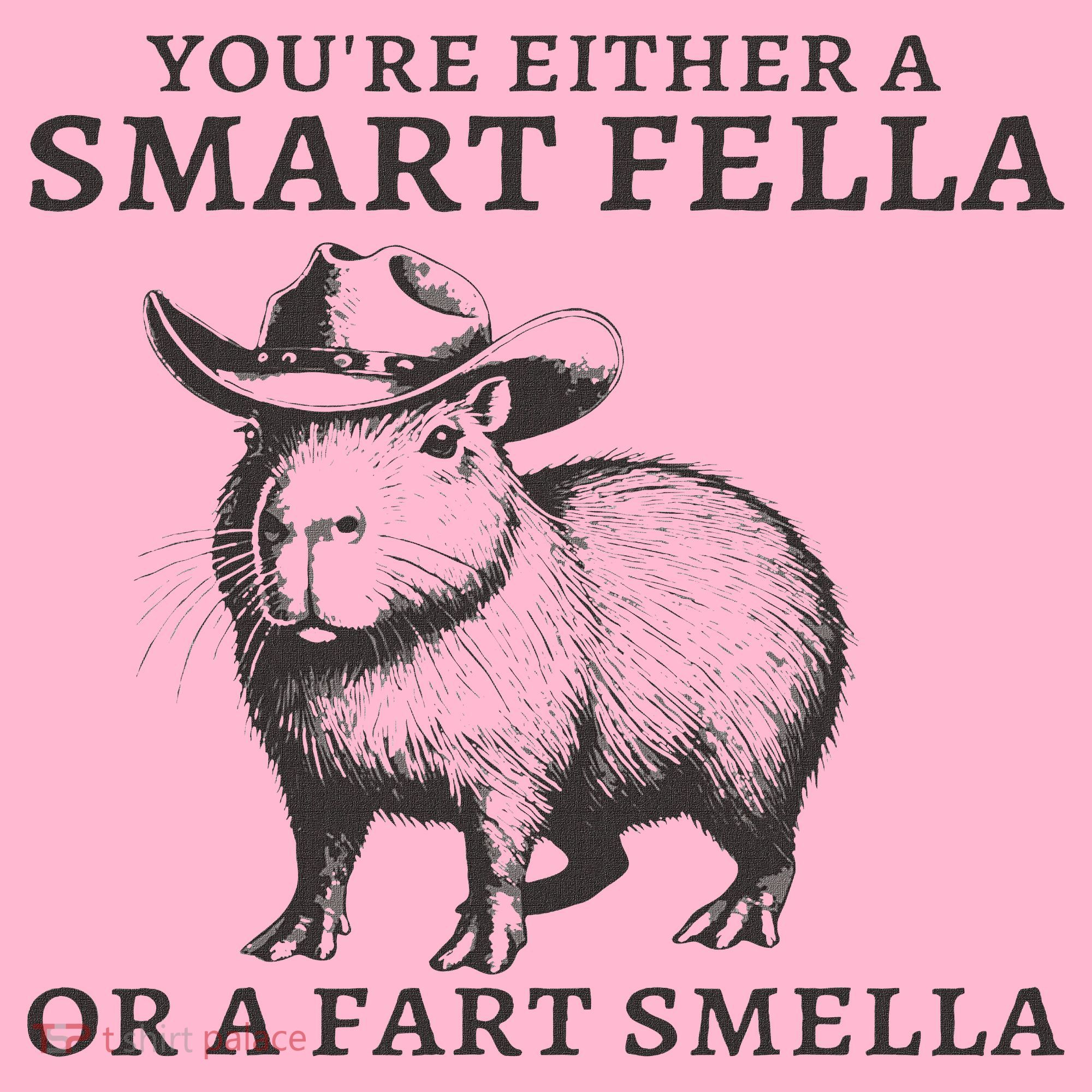 Funny Capybara You're Either A Smart Fella Or A Fart  Coaster