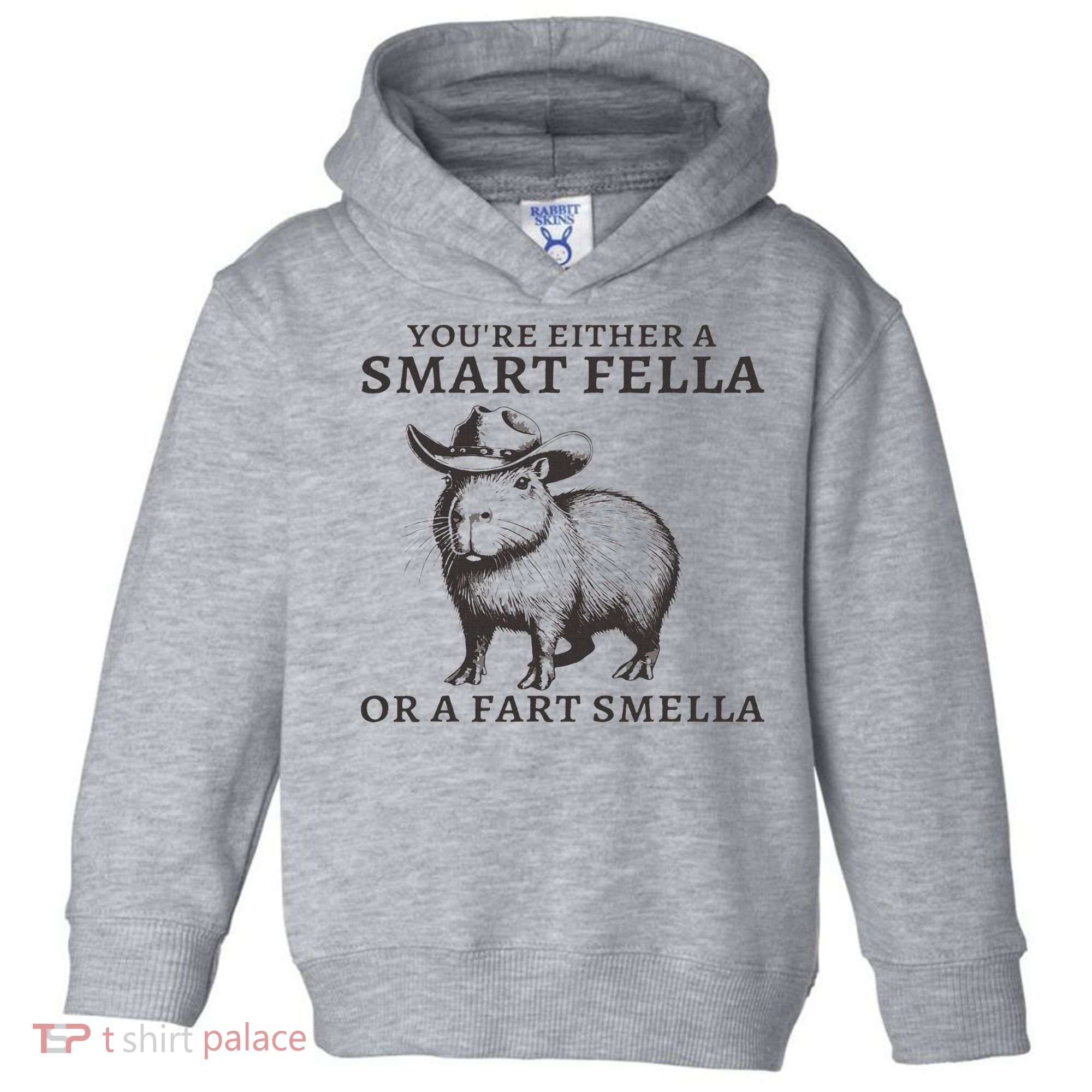 Funny Capybara You're Either A Smart Fella Or A Fart  Toddler Hoodie
