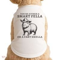 Funny Capybara You're Either A Smart Fella Or A Fart  Doggie Tank thumb 0