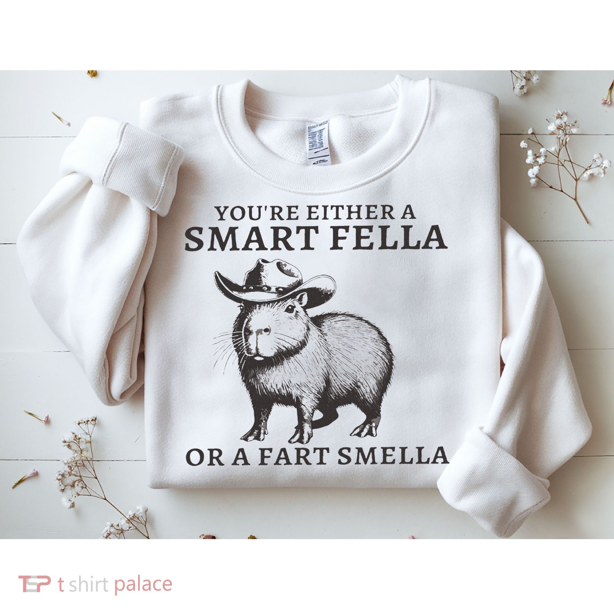 Funny Capybara You're Either A Smart Fella Or A Fart  Sweatshirt