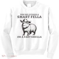 Funny Capybara You're Either A Smart Fella Or A Fart  Kids Sweatshirt thumb 0