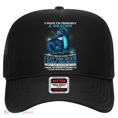 Funny Dragon 5 Signs I'm Probably A Dragon Hat