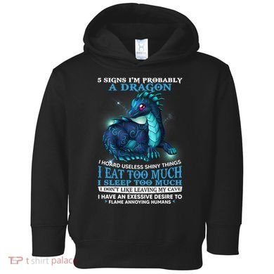 Funny Dragon 5 Signs I'm Probably A Dragon Toddler Hoodie