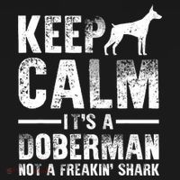 Funny Doberman Art Doberman Pinscher Dog Walker Toddler Hoodie thumb 2