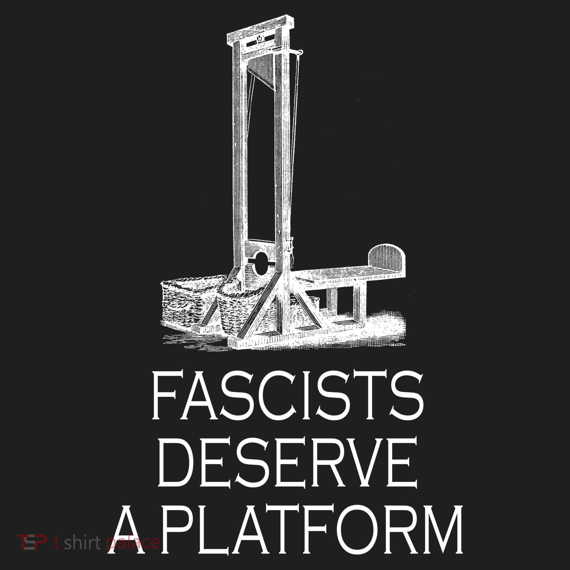 Fascists Deserve A Platform Comfort Colors T-Shirt