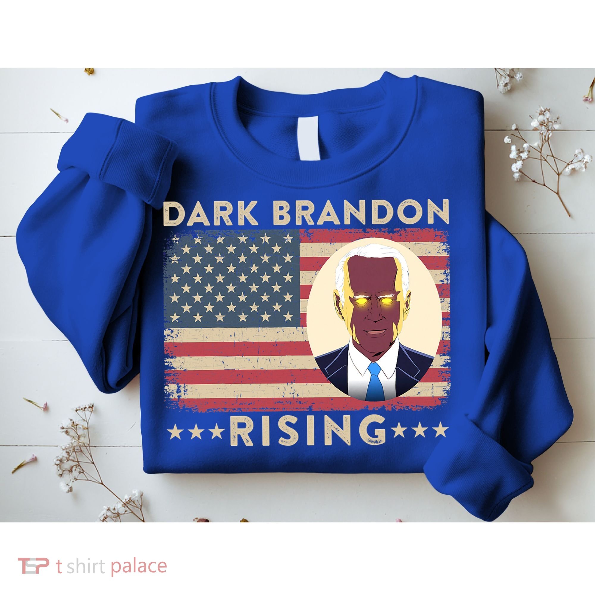Funny Dark Brandon Is Rising Pro Biden USA Flag Sweatshirt