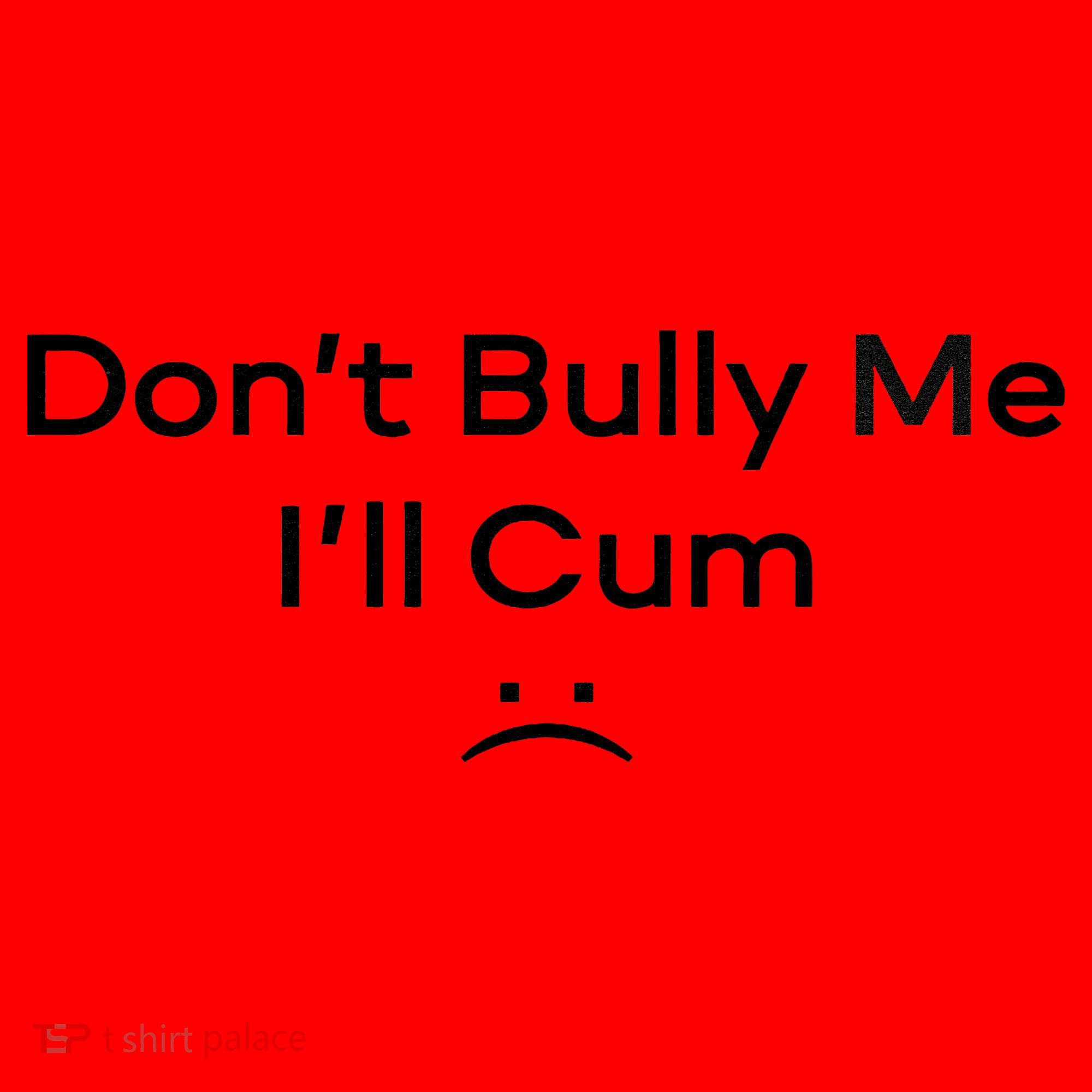Funny Don’t Bully Me I’ll Cum Santa Hat