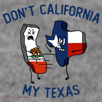 Funny Don't California My Texas Toddler Hoodie thumb 2