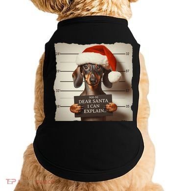 Funny Dachshund Christmas Dear Santa I Can Explain Weiner Doggie Tank
