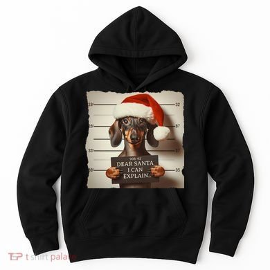 Funny Dachshund Christmas Dear Santa I Can Explain Weiner Hoodie