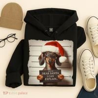 Funny Dachshund Christmas Dear Santa I Can Explain Weiner Hoodie thumb 4