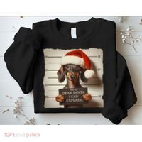 Funny Dachshund Christmas Dear Santa I Can Explain Weiner Sweatshirt thumb 2