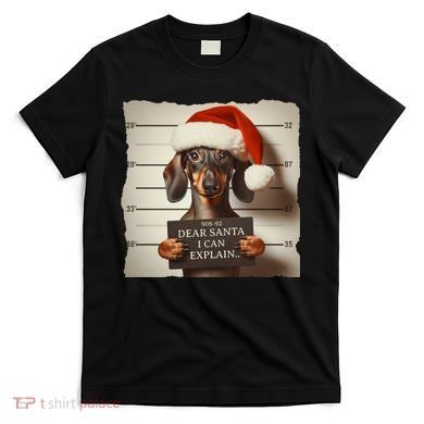 Funny Dachshund Christmas Dear Santa I Can Explain Weiner T-Shirt