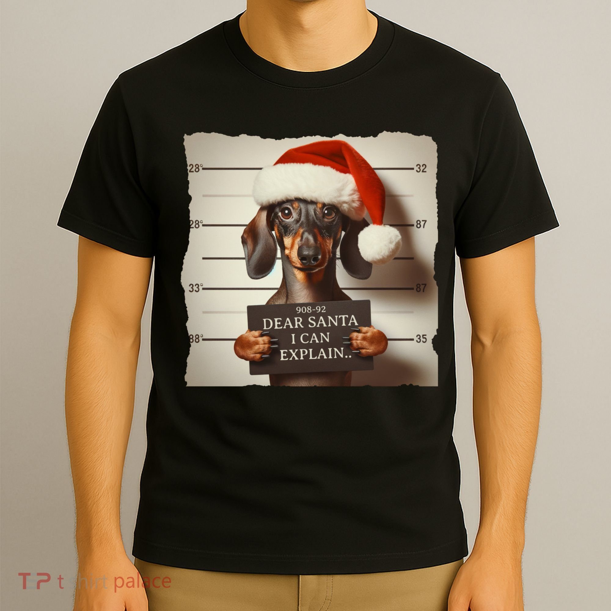 Funny Dachshund Christmas Dear Santa I Can Explain Weiner T-Shirt