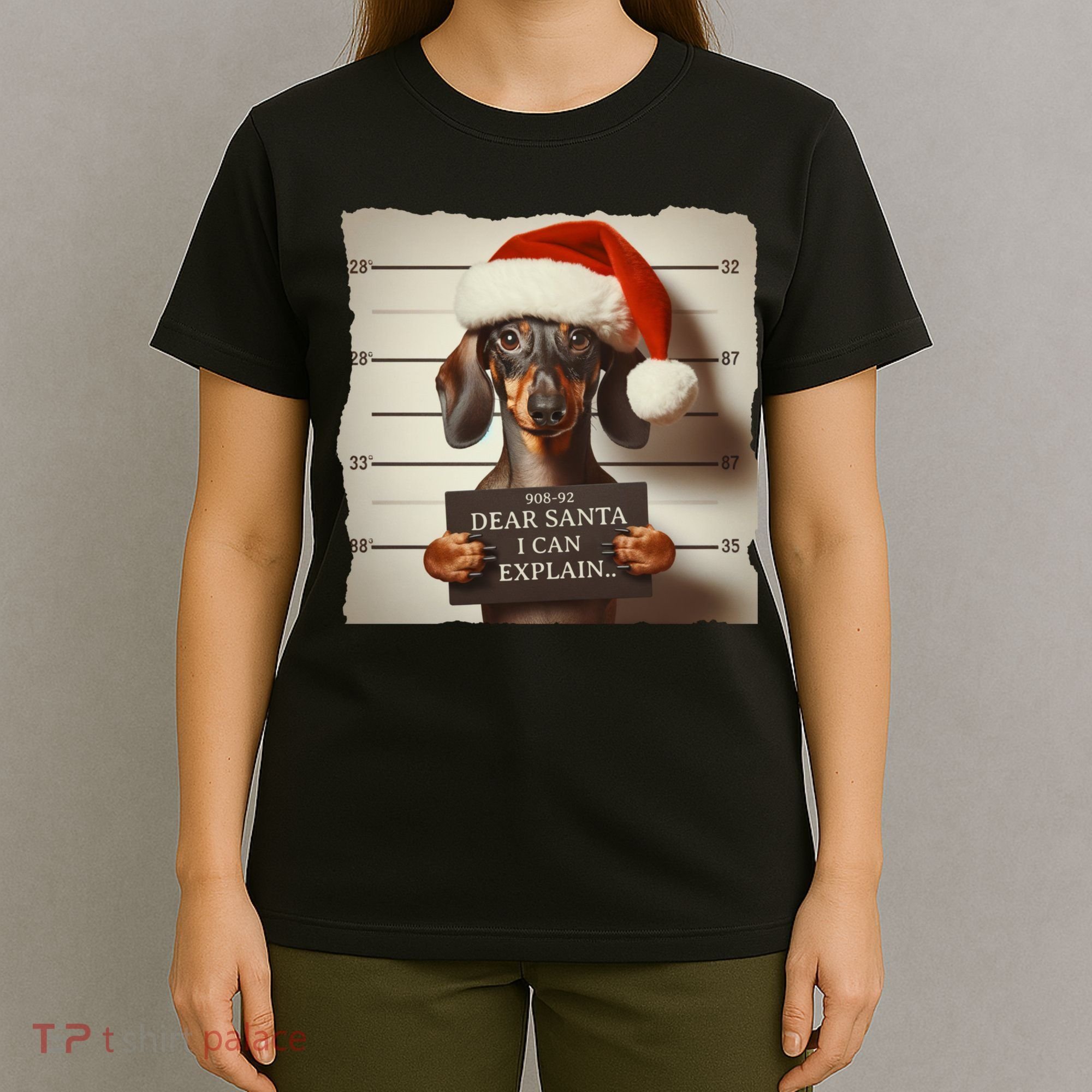Funny Dachshund Christmas Dear Santa I Can Explain Weiner T-Shirt