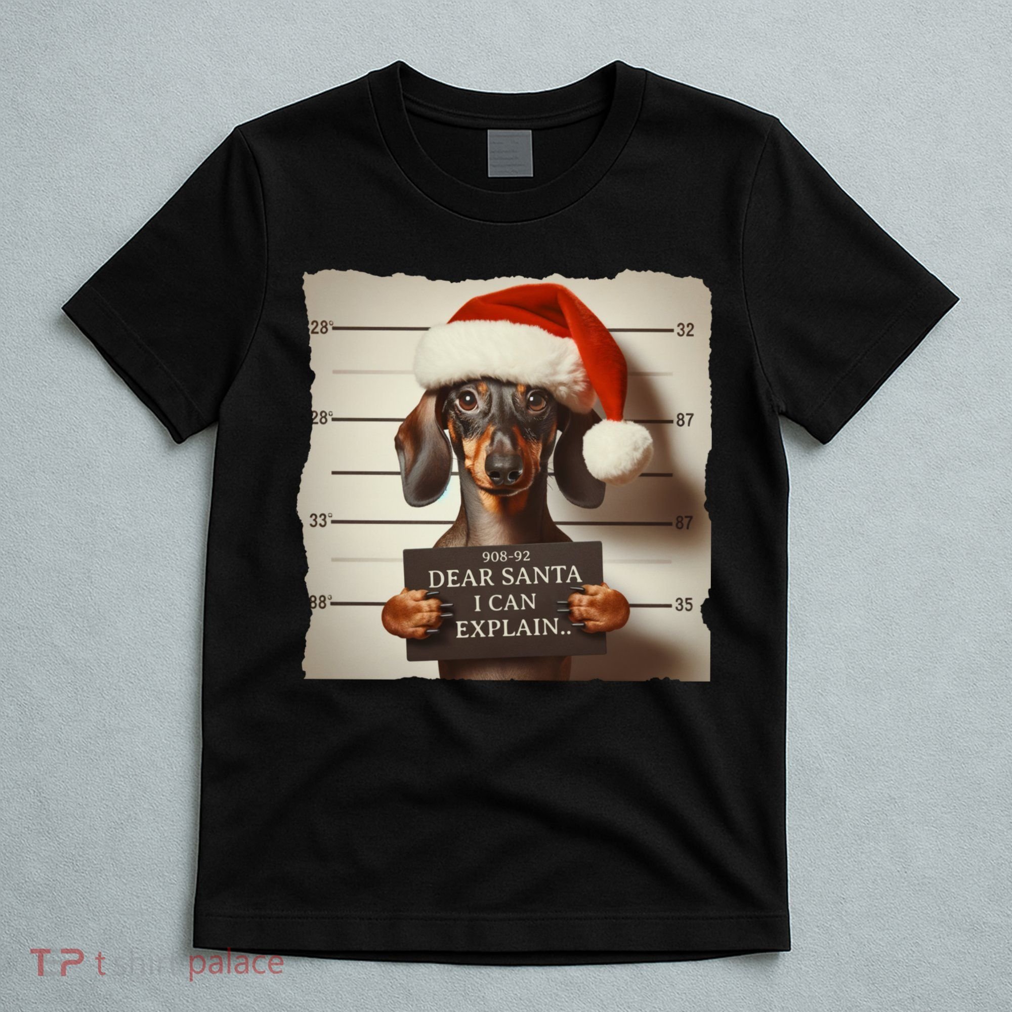 Funny Dachshund Christmas Dear Santa I Can Explain Weiner T-Shirt