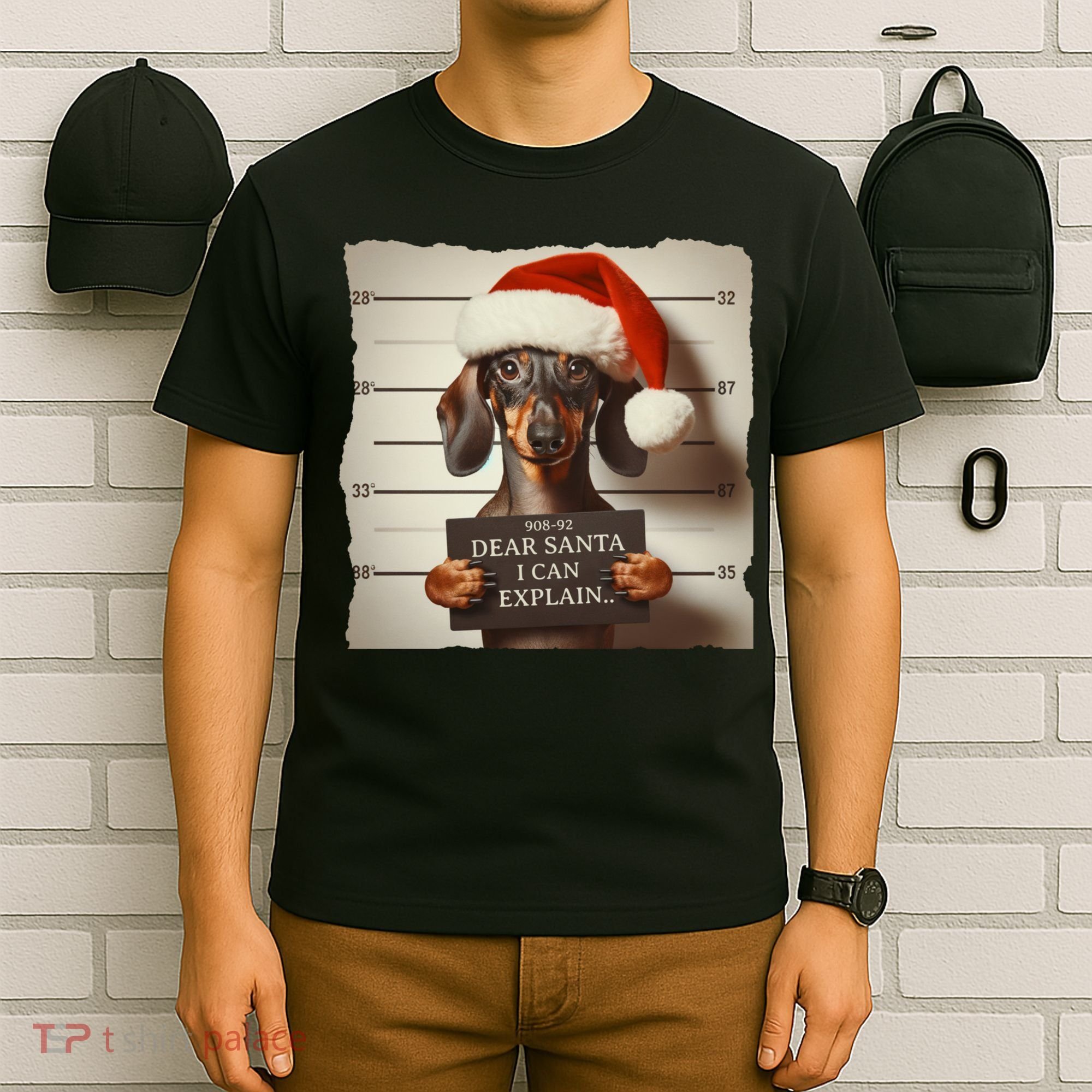 Funny Dachshund Christmas Dear Santa I Can Explain Weiner T-Shirt