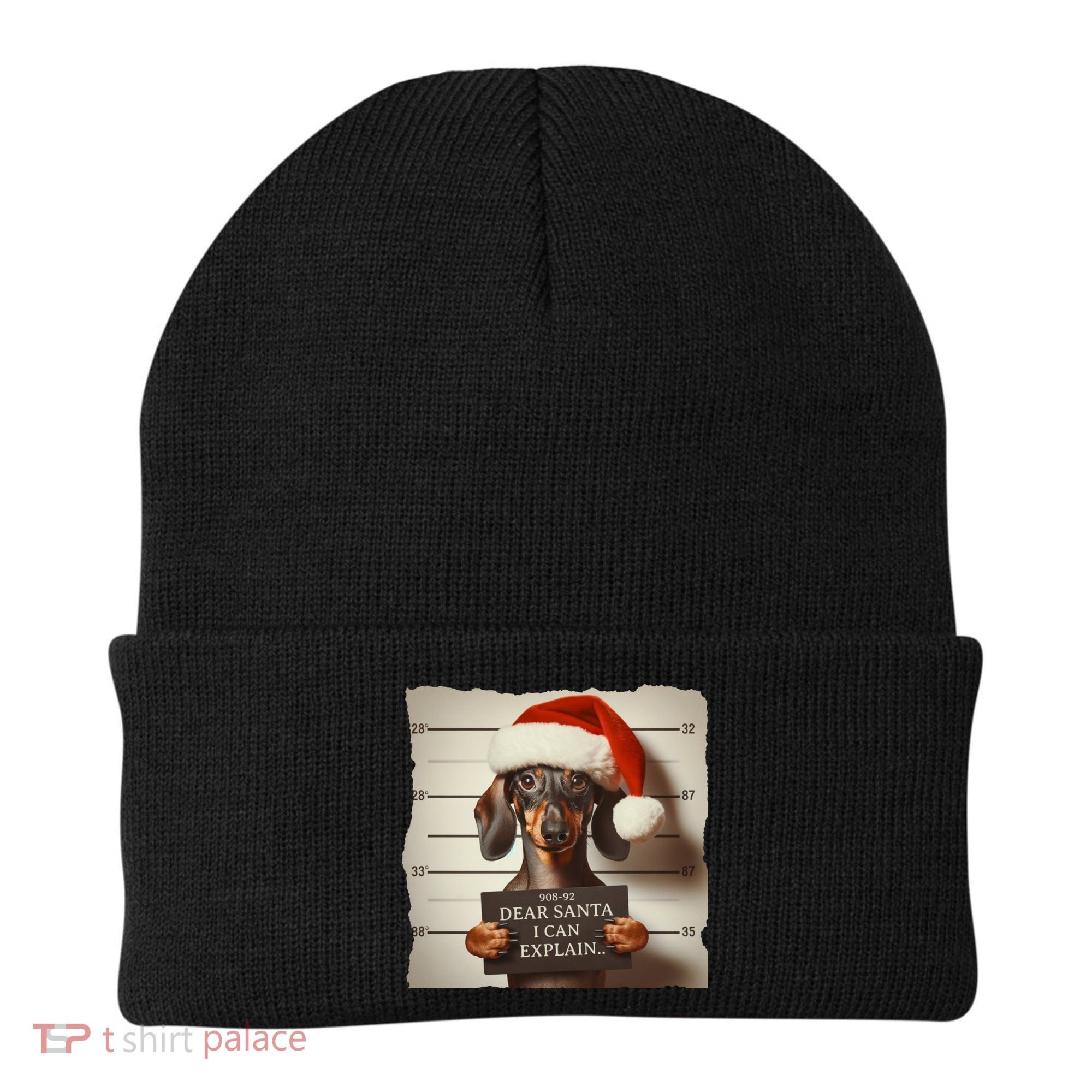 Funny Dachshund Christmas Dear Santa I Can Explain Weiner Beanie