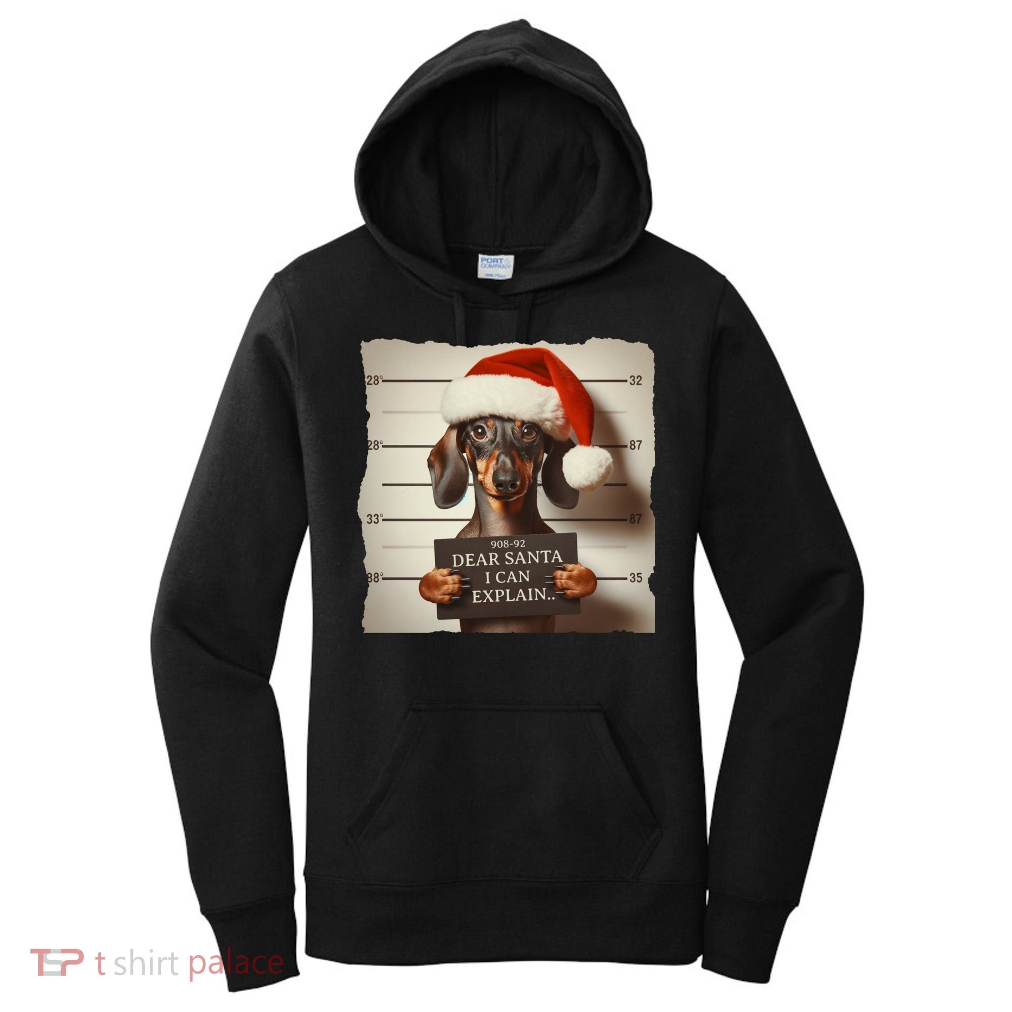Funny Dachshund Christmas Dear Santa I Can Explain Weiner Women's Hoodie