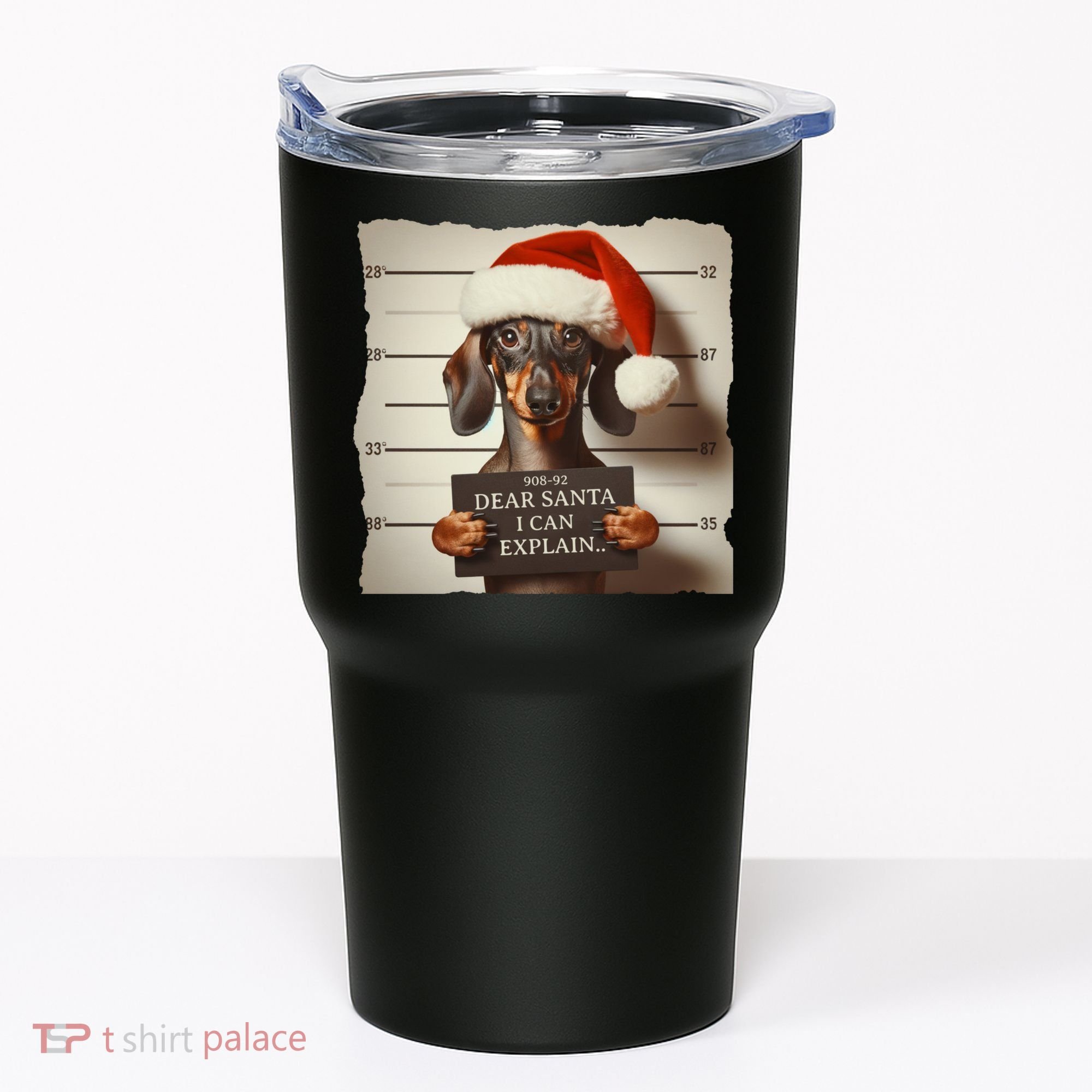 Funny Dachshund Christmas Dear Santa I Can Explain Weiner Tumbler
