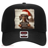 Funny Dachshund Christmas Dear Santa I Can Explain Weiner Hat thumb 0