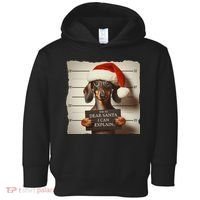 Funny Dachshund Christmas Dear Santa I Can Explain Weiner Toddler Hoodie thumb 0