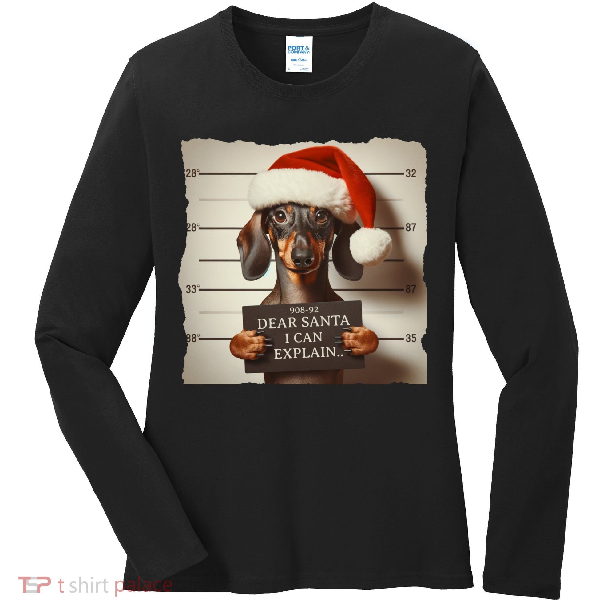 Funny Dachshund Christmas Dear Santa I Can Explain Weiner Women's Long Sleeve Shirt