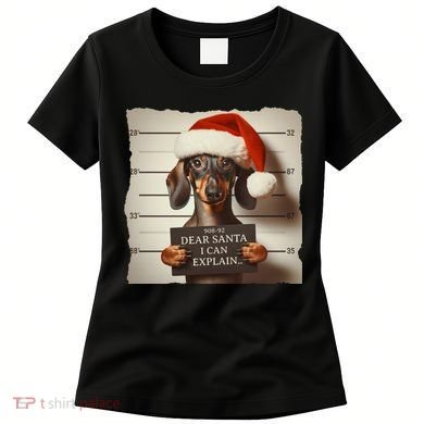 Funny Dachshund Christmas Dear Santa I Can Explain Weiner Women's T-Shirt