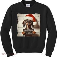 Funny Dachshund Christmas Dear Santa I Can Explain Weiner Kids Sweatshirt thumb 0