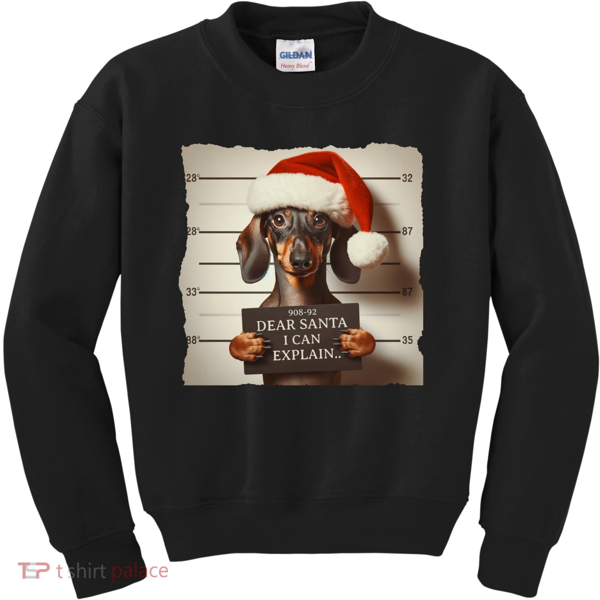 Funny Dachshund Christmas Dear Santa I Can Explain Weiner Kids Sweatshirt