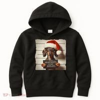 Funny Dachshund Christmas Dear Santa I Can Explain Weiner Kids Hoodie thumb 0