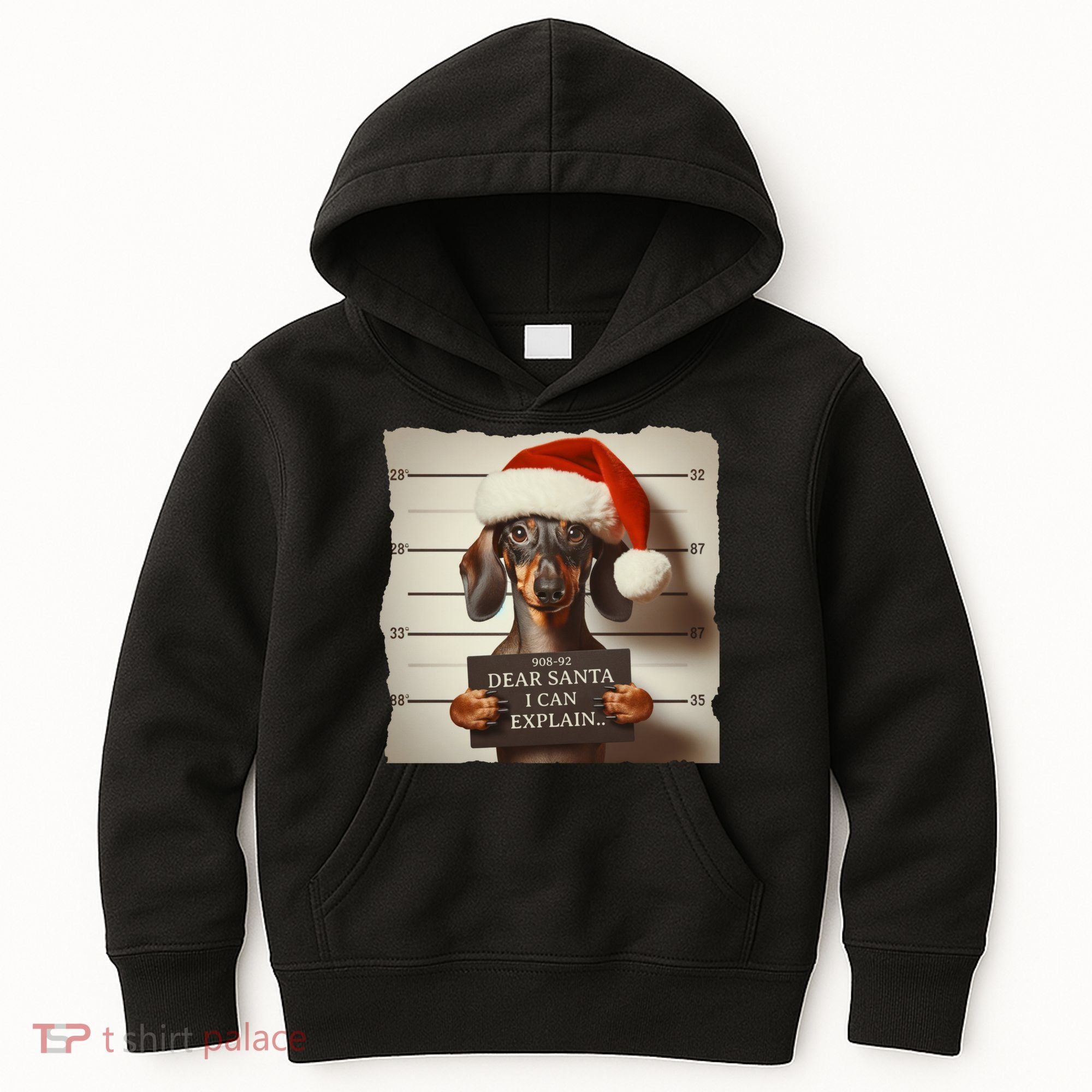 Funny Dachshund Christmas Dear Santa I Can Explain Weiner Kids Hoodie