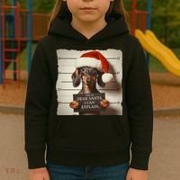 Funny Dachshund Christmas Dear Santa I Can Explain Weiner Kids Hoodie thumb 3