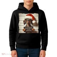 Funny Dachshund Christmas Dear Santa I Can Explain Weiner Kids Hoodie thumb 4