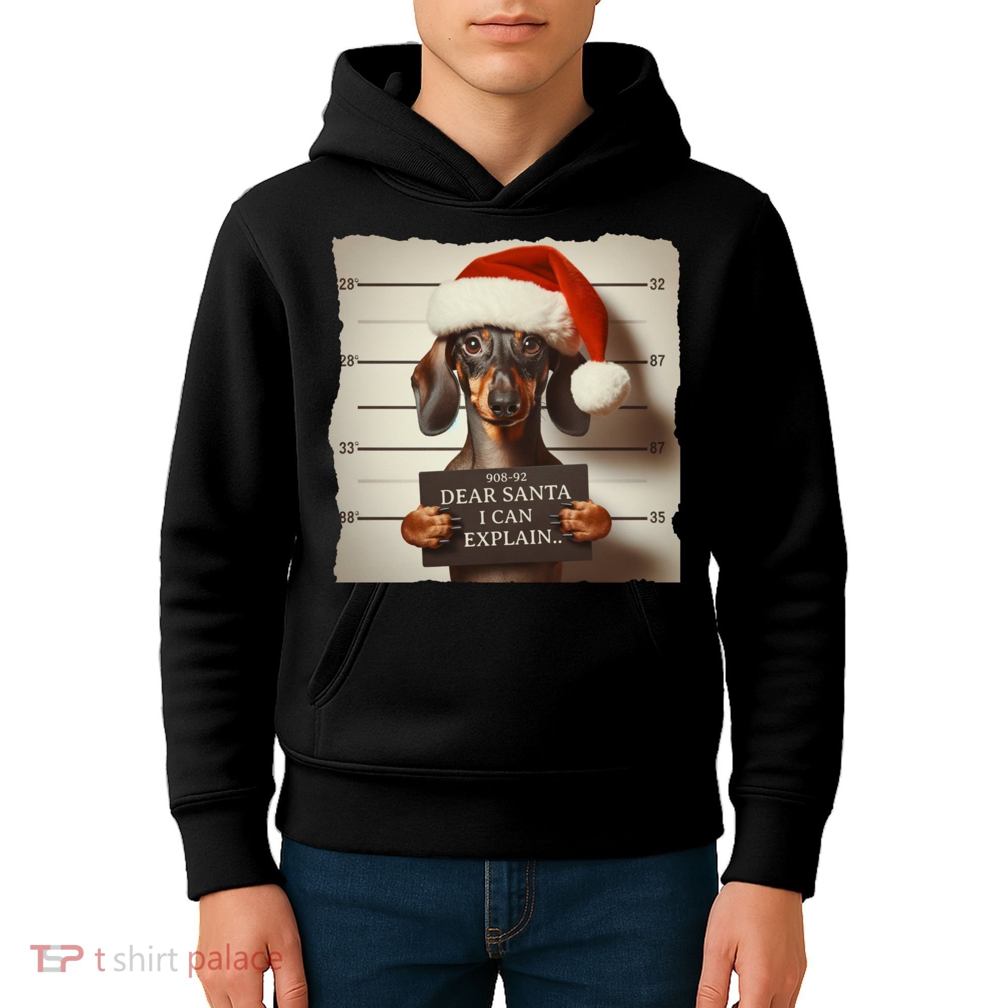 Funny Dachshund Christmas Dear Santa I Can Explain Weiner Kids Hoodie