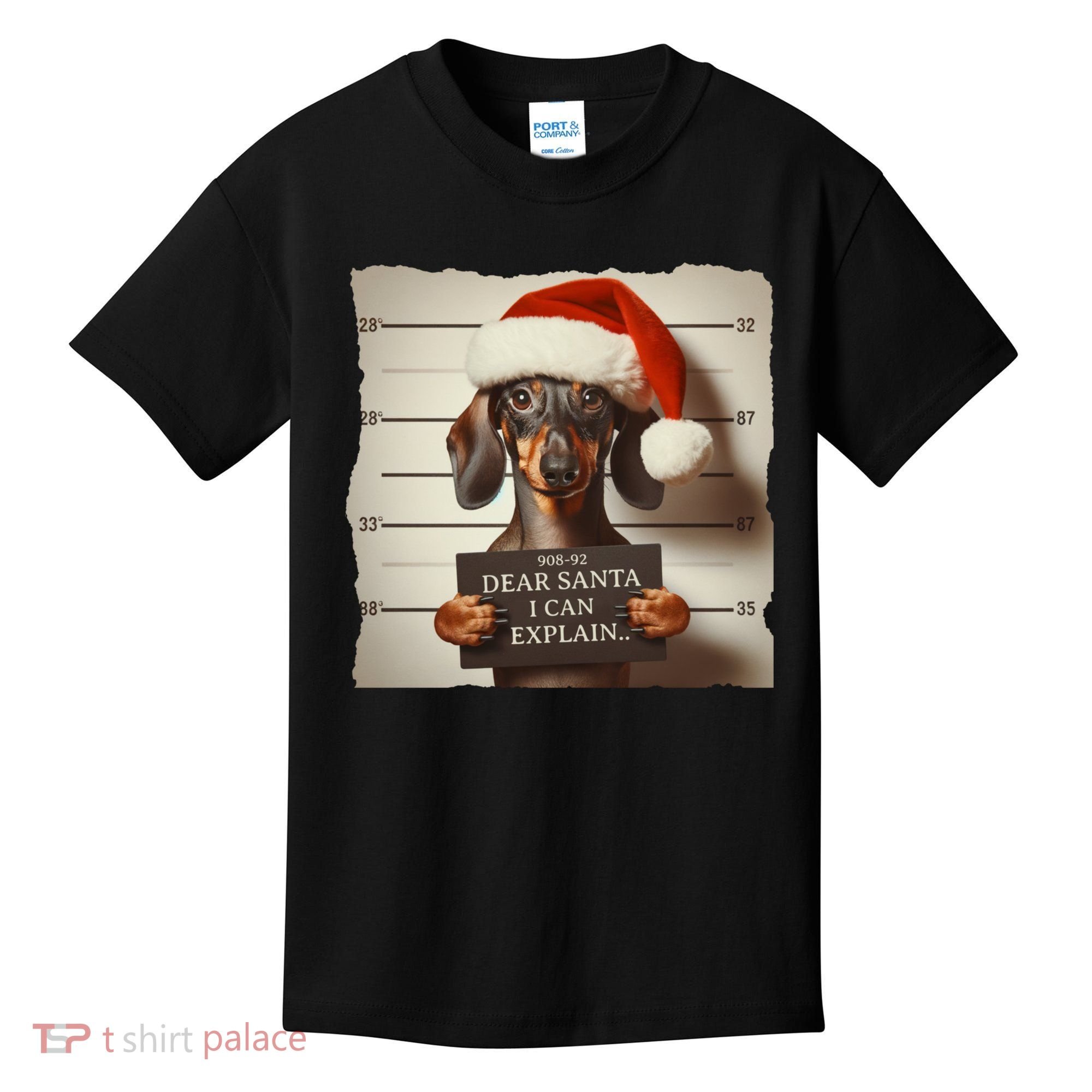 Funny Dachshund Christmas Dear Santa I Can Explain Weiner Kids T-Shirt