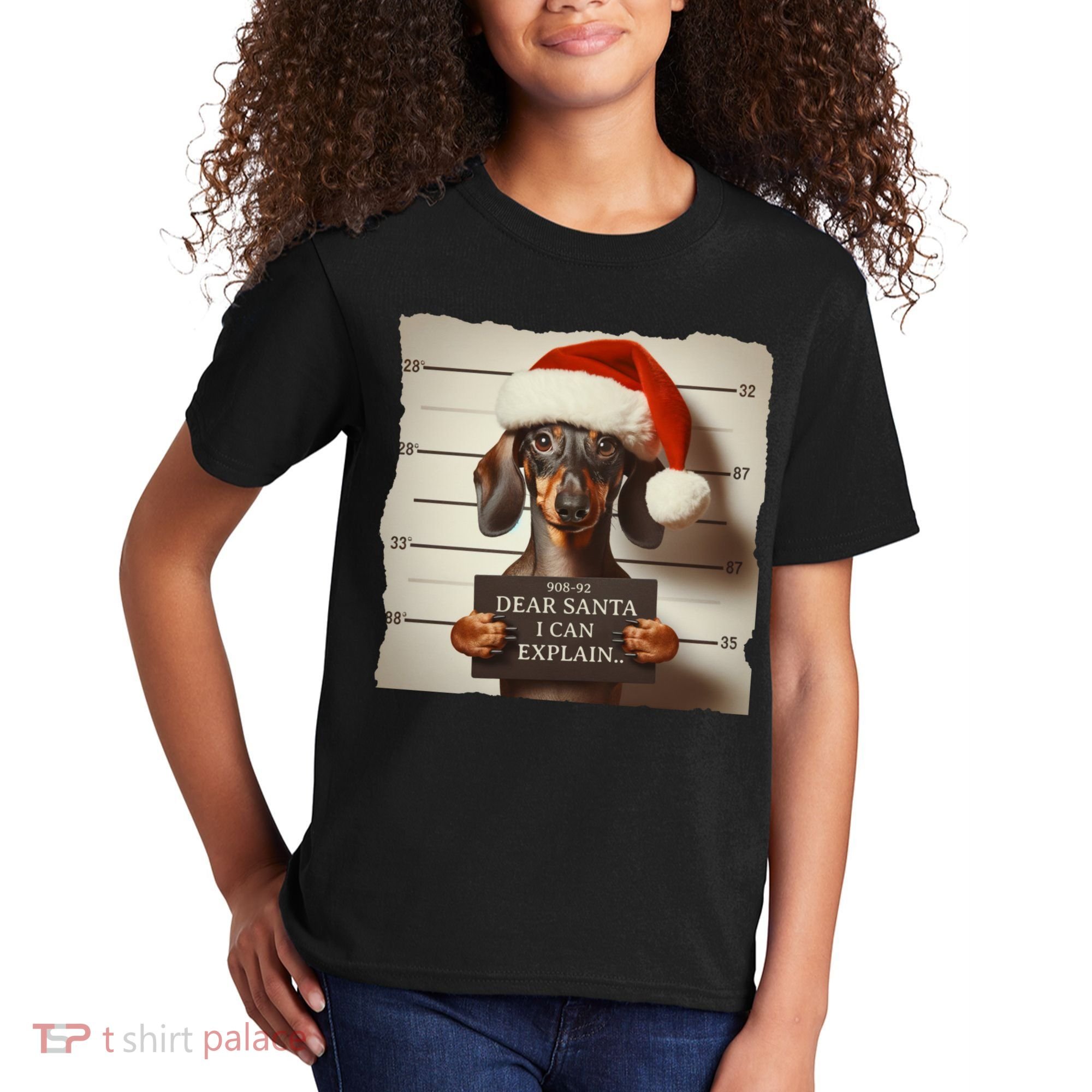 Funny Dachshund Christmas Dear Santa I Can Explain Weiner Kids T-Shirt