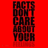 Facts Don't Care About Your Feelings Santa Hat thumb 1