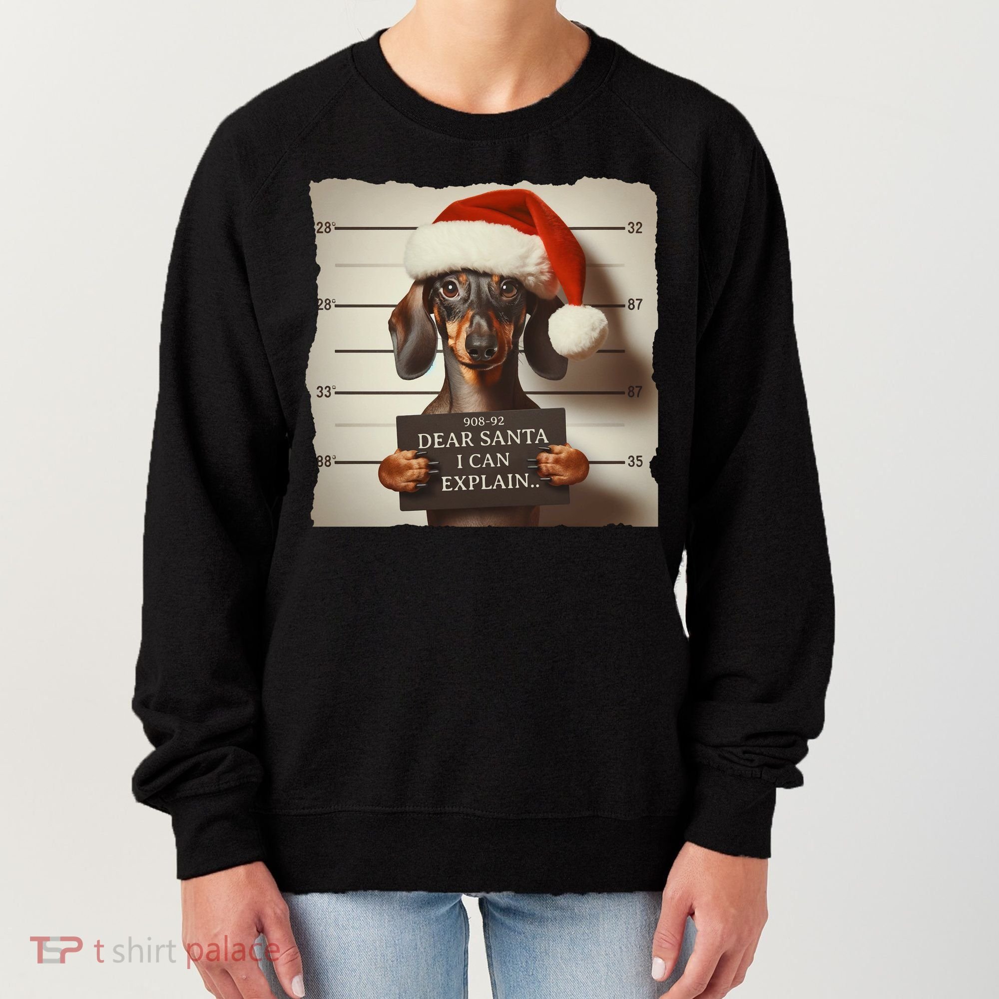 Funny Dachshund Christmas Dear Santa I Can Explain Weiner Women's Sweatshirt