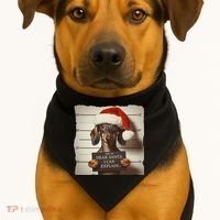 Funny Dachshund Christmas Dear Santa I Can Explain Weiner USA-Made Doggie Bandana thumb 1