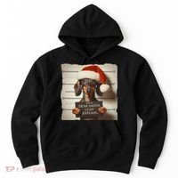 Funny Dachshund Christmas Dear Santa I Can Explain Weiner Hoodie thumb 0