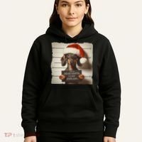 Funny Dachshund Christmas Dear Santa I Can Explain Weiner Hoodie thumb 5