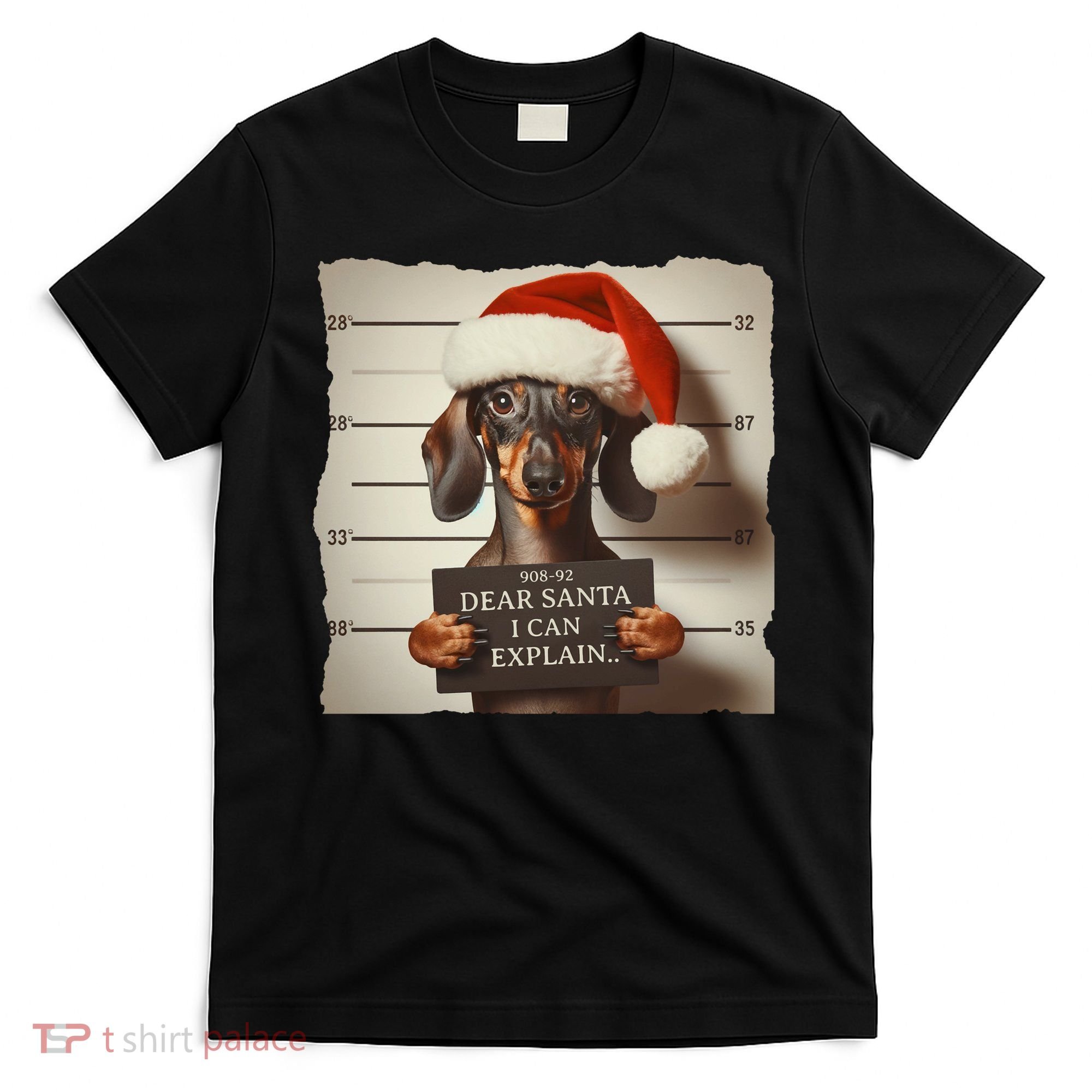 Funny Dachshund Christmas Dear Santa I Can Explain Weiner T-Shirt