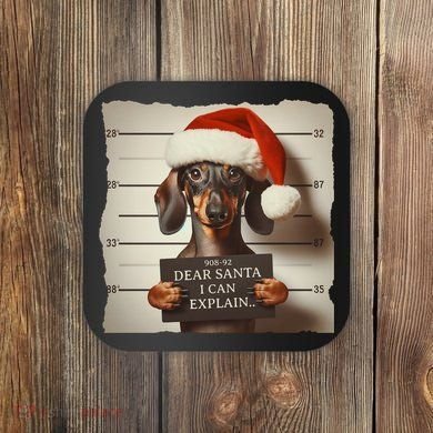 Funny Dachshund Christmas Dear Santa I Can Explain Weiner Coaster
