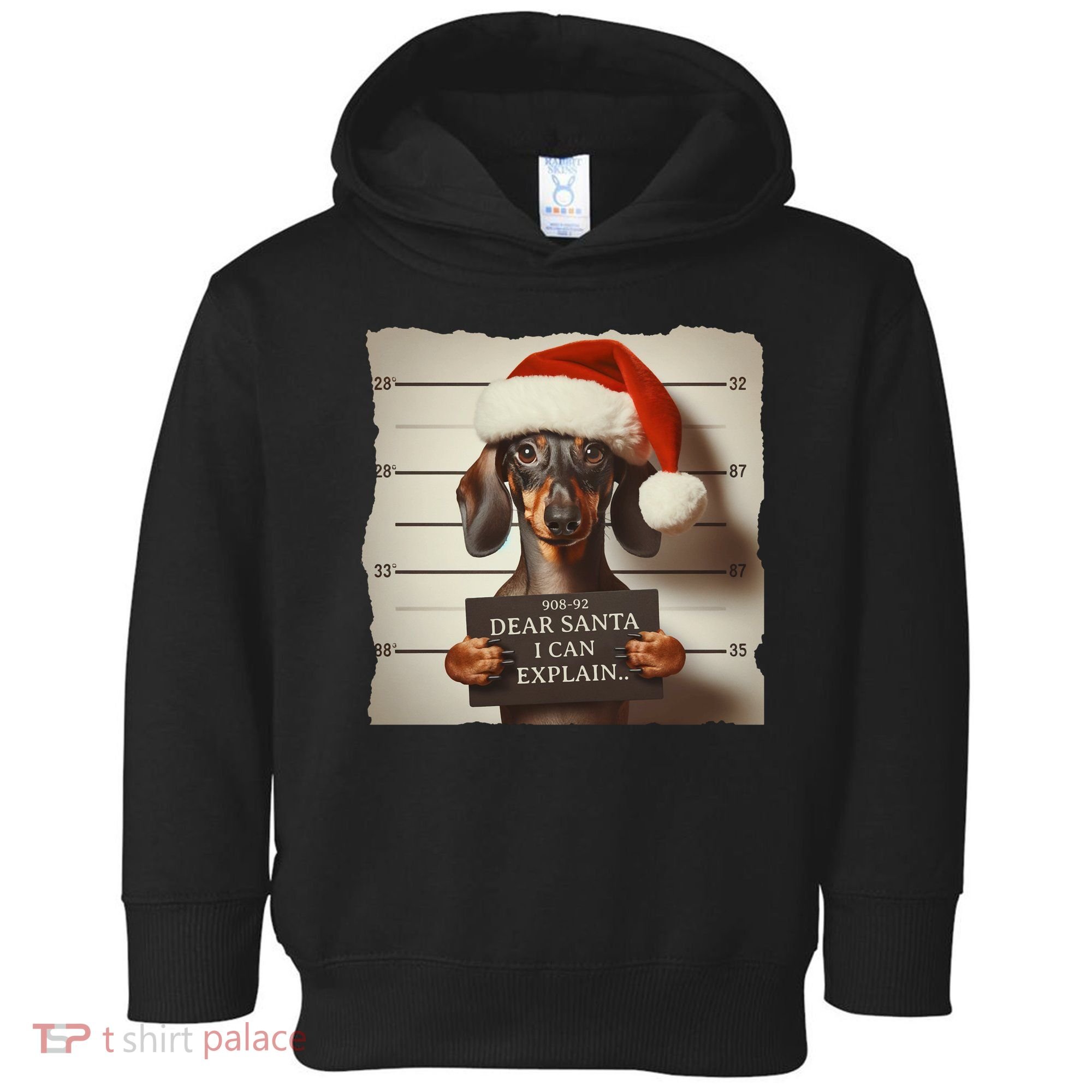 Funny Dachshund Christmas Dear Santa I Can Explain Weiner Toddler Hoodie