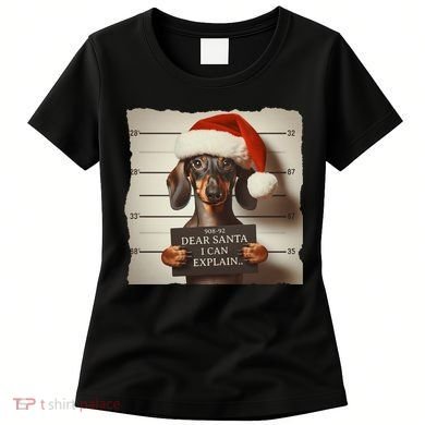 Funny Dachshund Christmas Dear Santa I Can Explain Weiner Women's T-Shirt