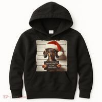 Funny Dachshund Christmas Dear Santa I Can Explain Weiner Kids Hoodie thumb 0