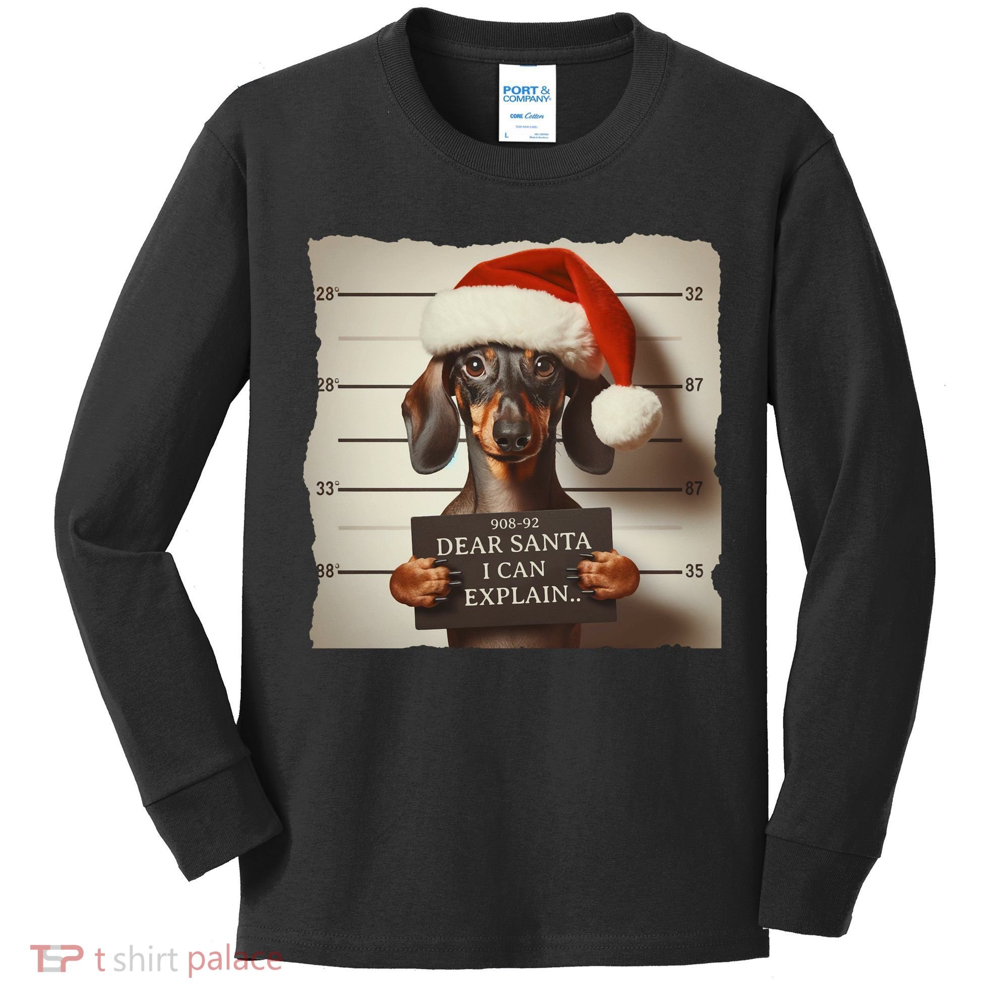 Funny Dachshund Christmas Dear Santa I Can Explain Weiner Kids Long Sleeve Shirt